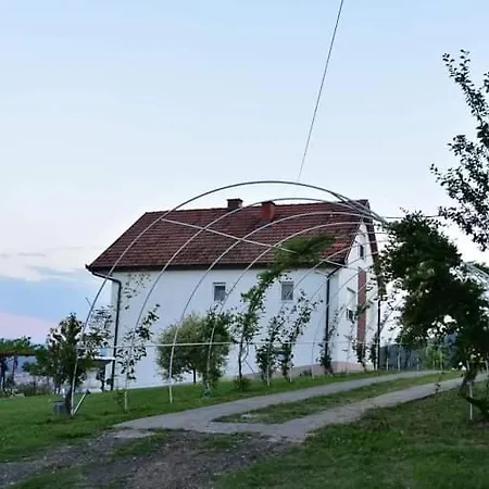 Apartment Dusanovac Raska