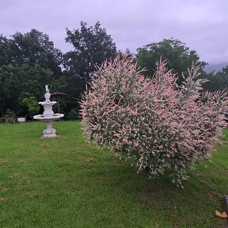 Apartament Dusanovac *