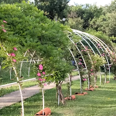 Apartamento Dusanovac