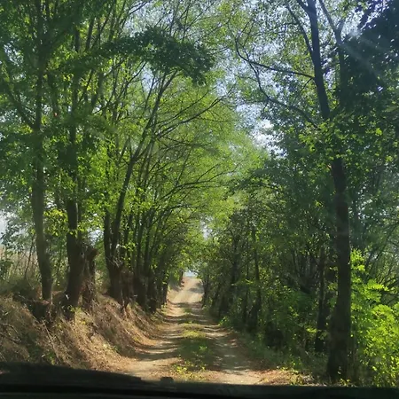 Apartament Dusanovac Raška