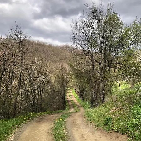 Apartament Dusanovac