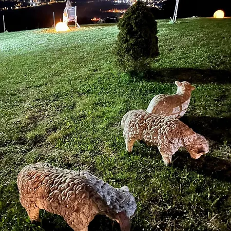 Apartamento Dusanovac Raška