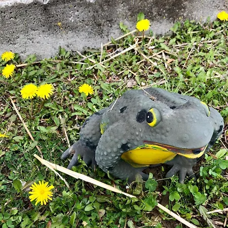 Dusanovac Apartamento