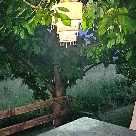 Dusanovac Apartament