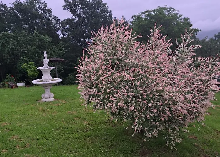 アパート Dusanovac *