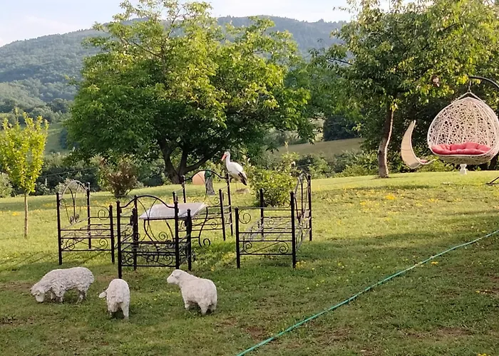 Dusanovac アパート Raška