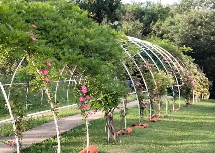 アパート Dusanovac