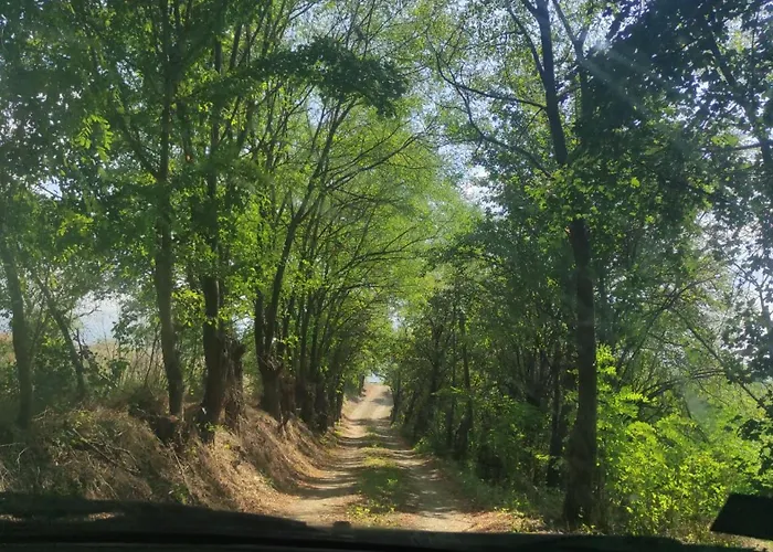 アパート Dusanovac Raška