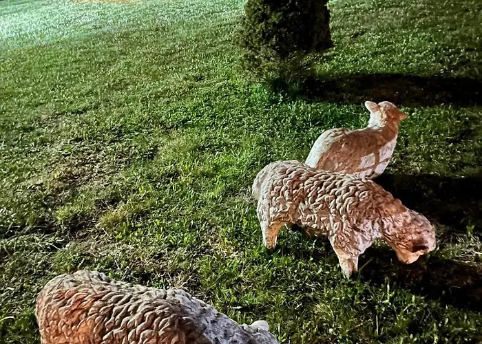 アパート Dusanovac Raška