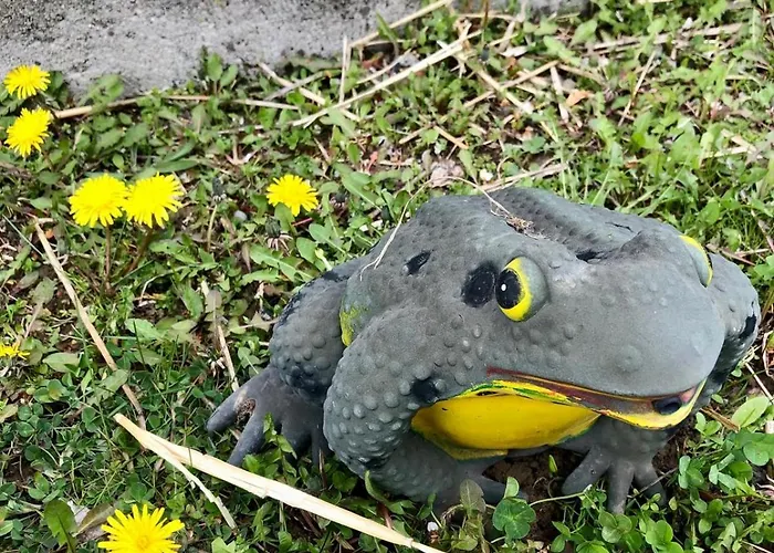 Dusanovac アパート