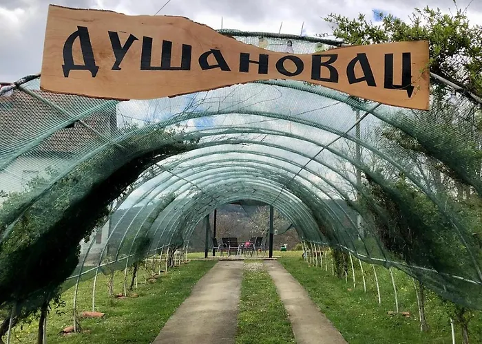 アパート Dusanovac Raška