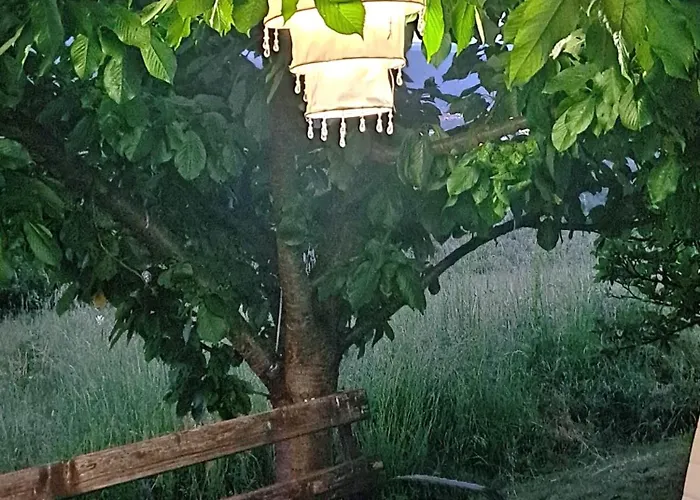 Dusanovac アパート