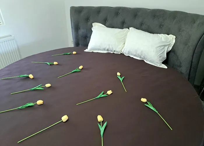 Dusanovac شقة Raška